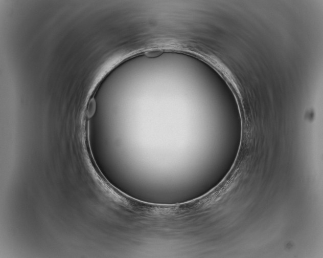 X0000101221389200806271437