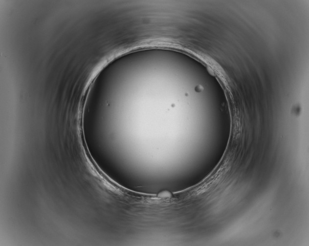 X0000101221390200806271437