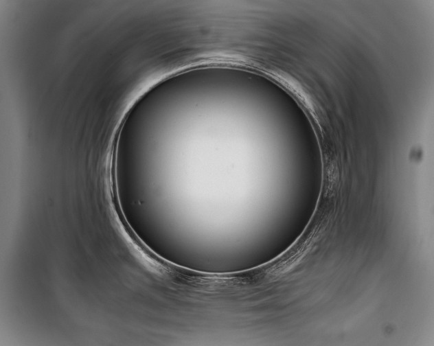 X0000101221391200806271437