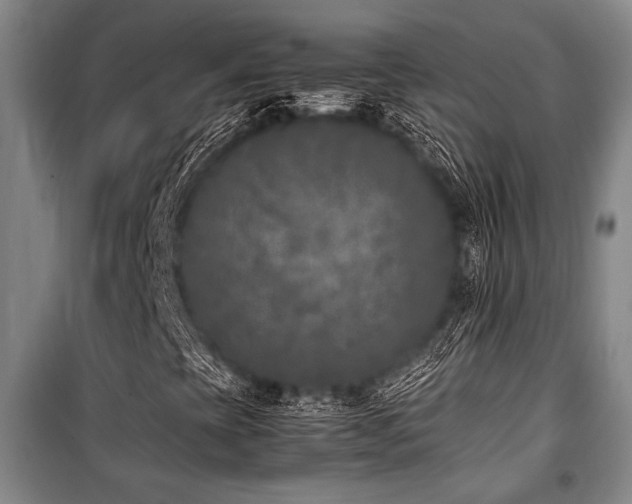X0000101221393200806271436