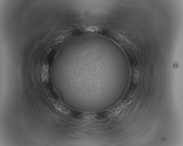 X0000101221394200806271436