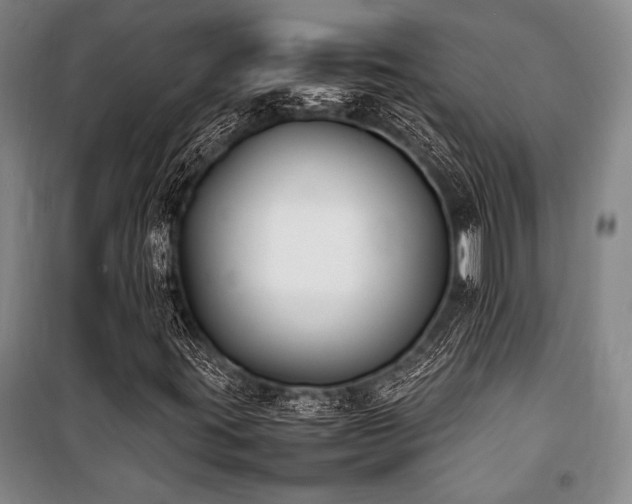 X0000101221395200806271436