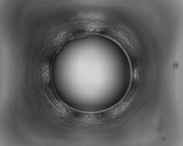 X0000101221396200806271436