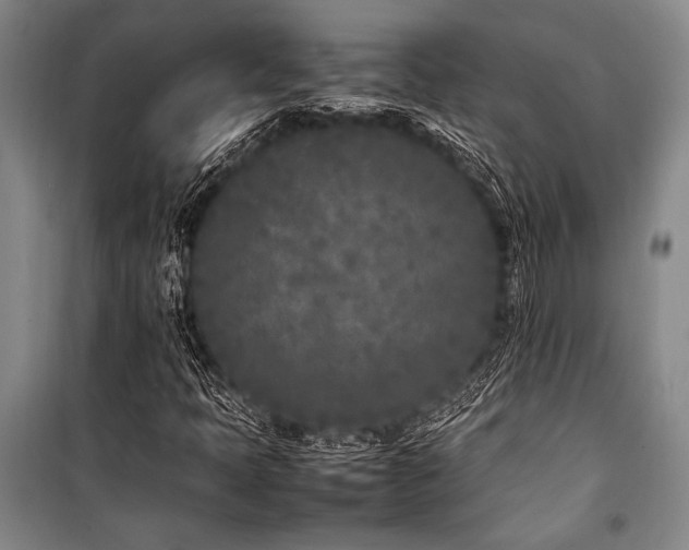 X0000101221397200806271436
