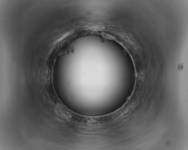 X0000101221398200806271436