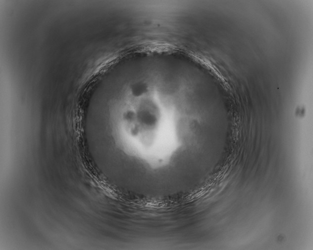 X0000101221399200806271436