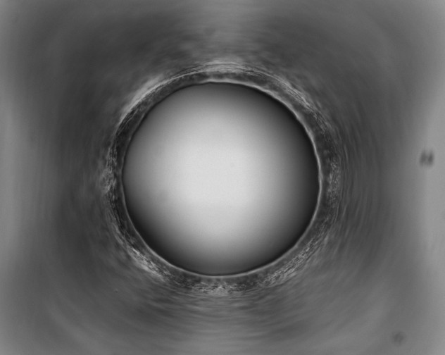 X0000101221400200806271436