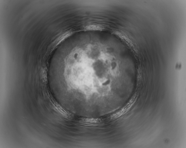X0000101221401200806271436