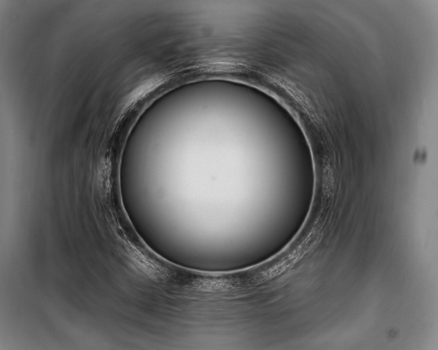 X0000101221402200806271436