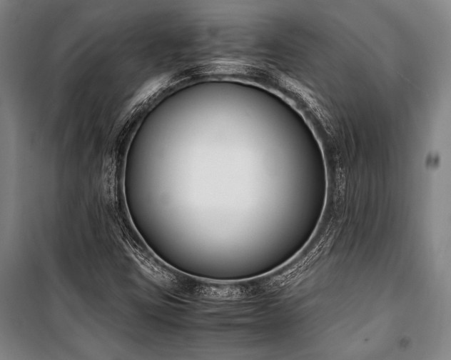 X0000101221403200806271436