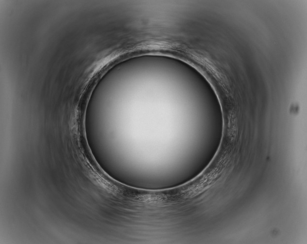 X0000101221404200806271436