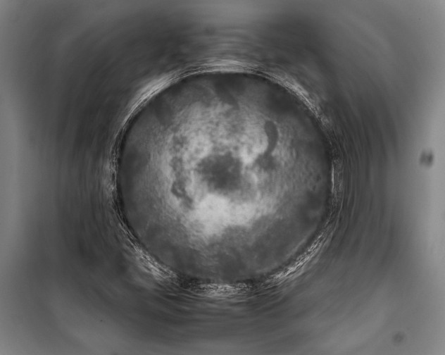 X0000101221405200806271436