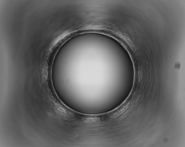 X0000101221406200806271436