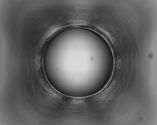 X0000101221407200806271436