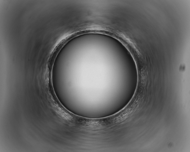 X0000101221408200806271436