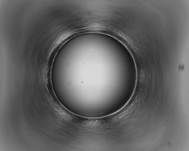X0000101221410200806271436