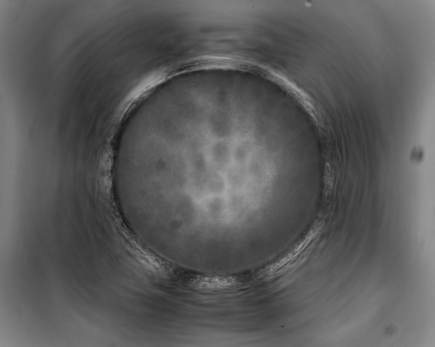 X0000101221411200806271436