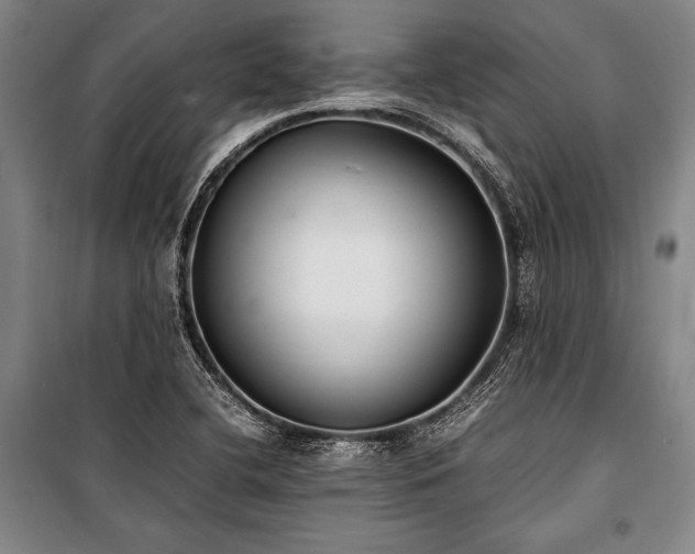 X0000101221412200806271436