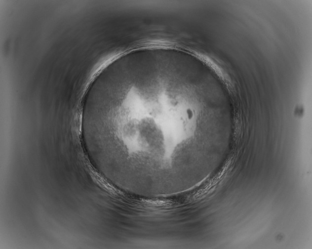 X0000101221413200806271436