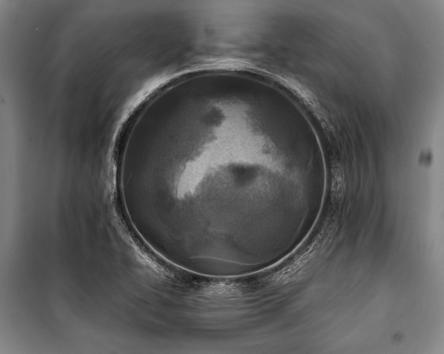 X0000101221414200806271436