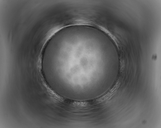 X0000101221415200806271436