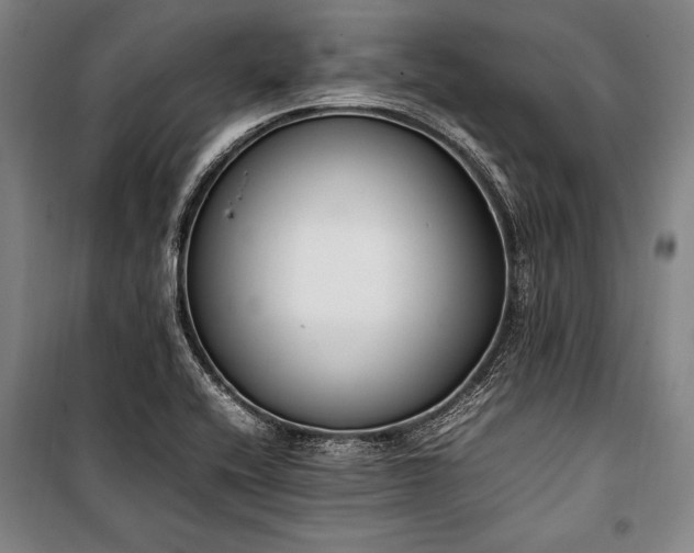 X0000101221416200806271436