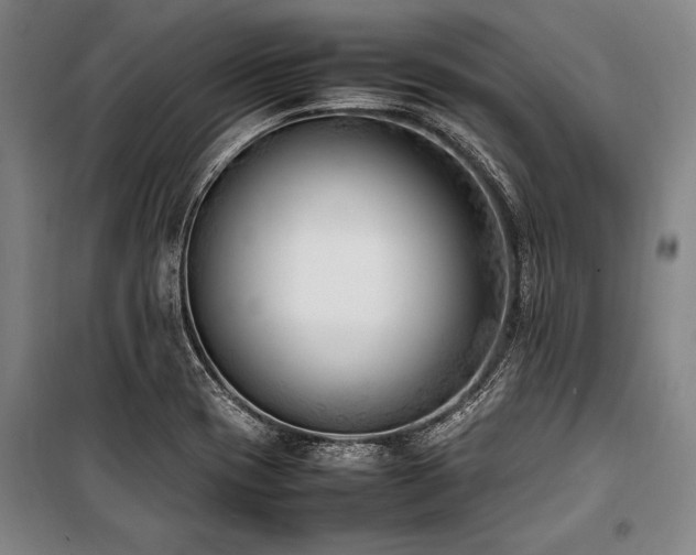 X0000101221417200806271436