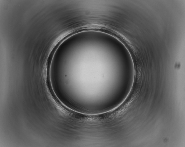 X0000101221418200806271436