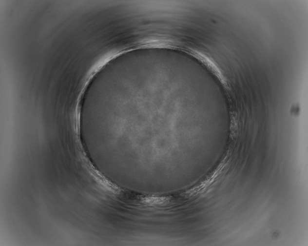 X0000101221419200806271436