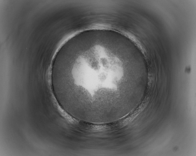 X0000101221421200806271436