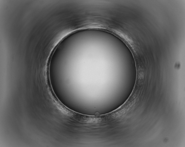 X0000101221423200806271436