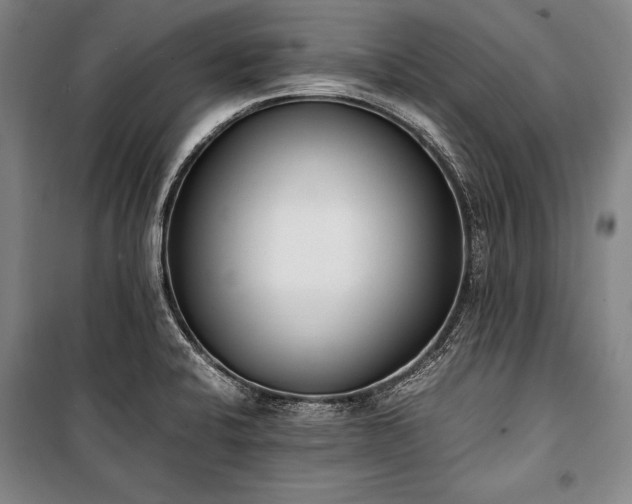 X0000101221424200806271436