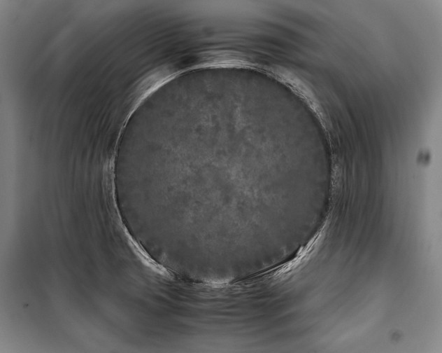 X0000101221425200806271436