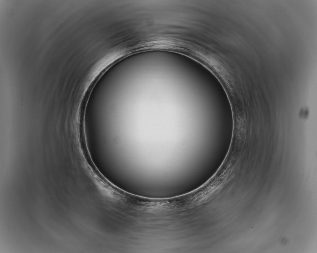 X0000101221426200806271436