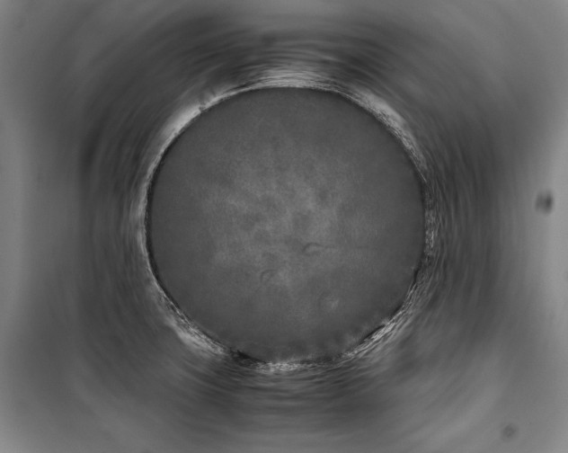 X0000101221427200806271437