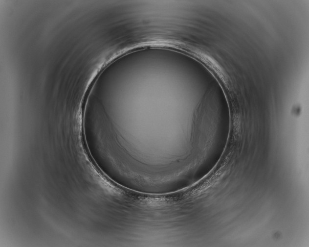 X0000101221428200806271437