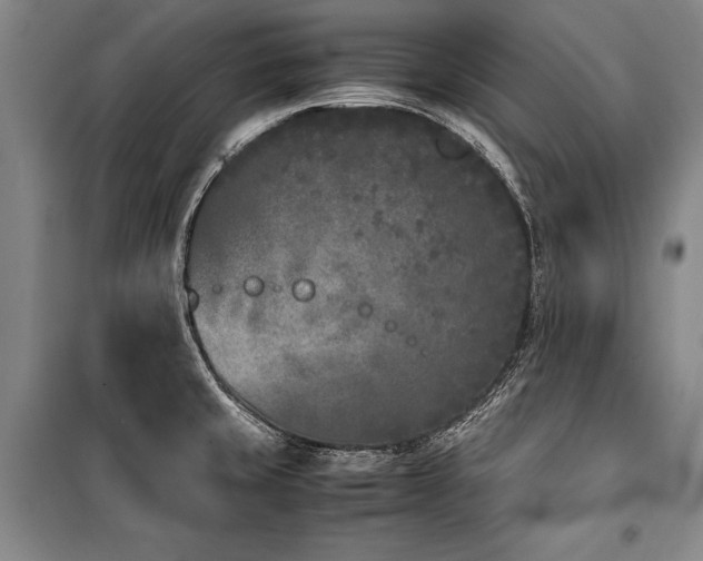X0000101221429200806271437