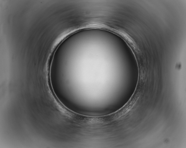 X0000101221430200806271437
