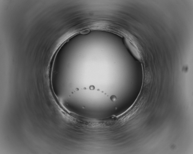 X0000101221434200806271437