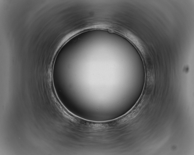 X0000101221436200806271437