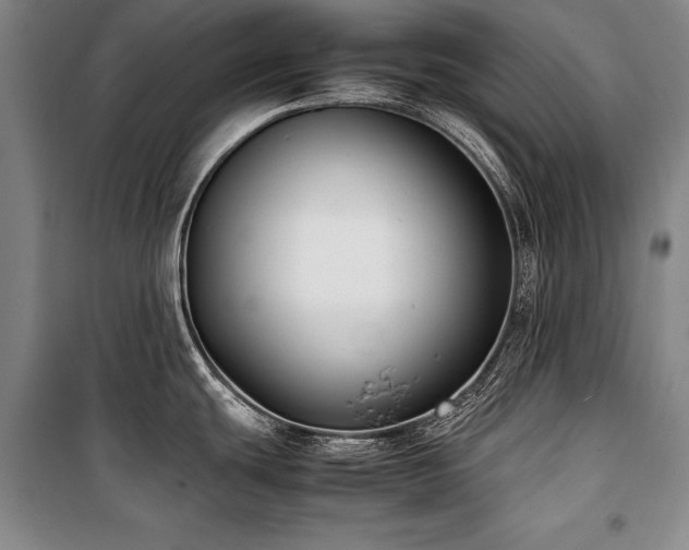 X0000101221439200806271437