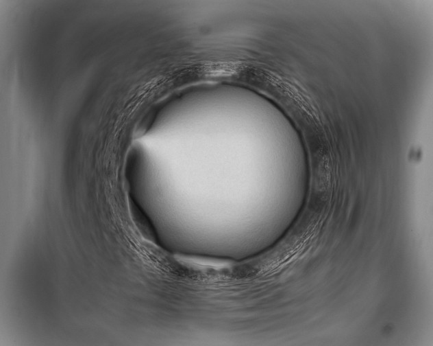 X0000101221441200806271436