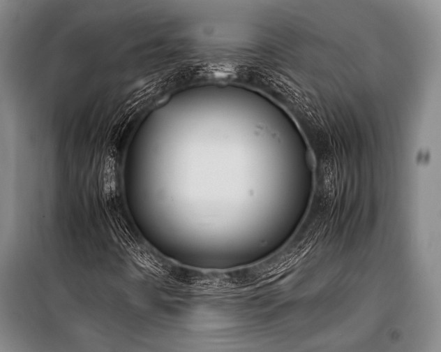 X0000101221442200806271436