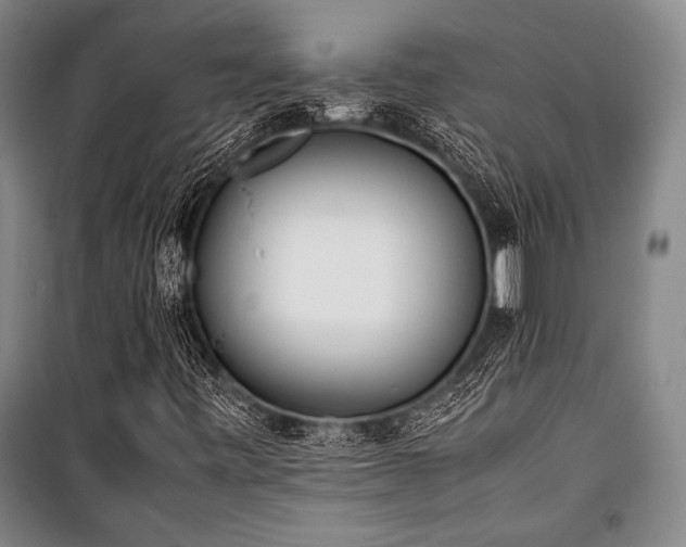 X0000101221443200806271436