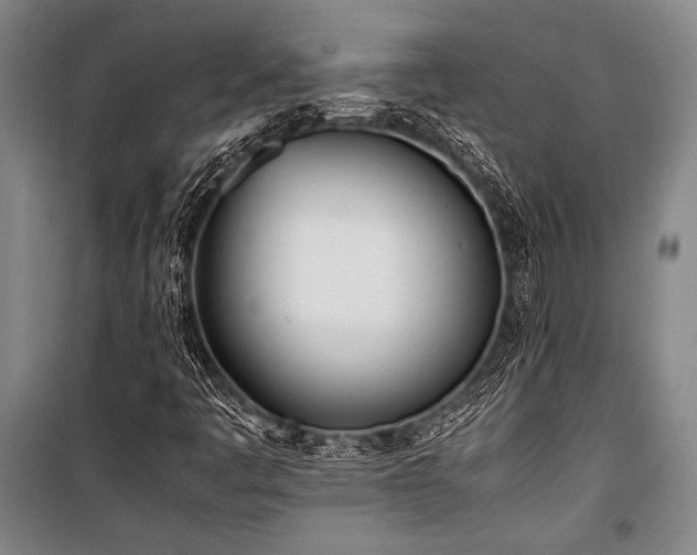 X0000101221445200806271436