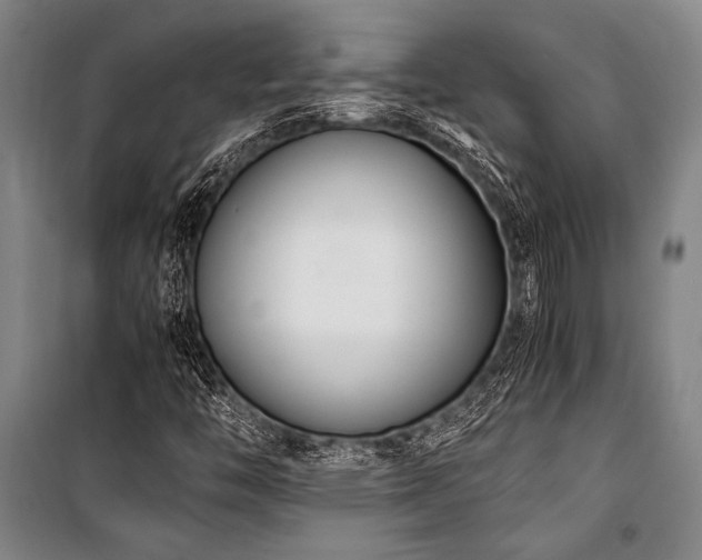 X0000101221446200806271436