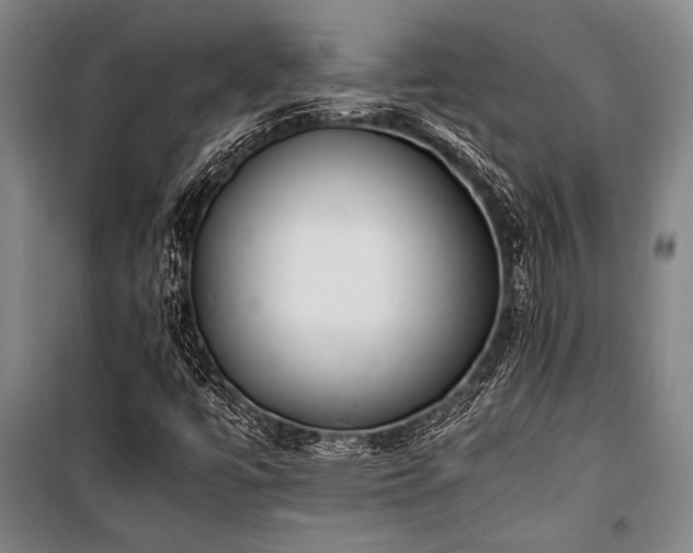 X0000101221447200806271436