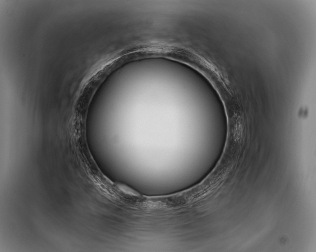 X0000101221448200806271436