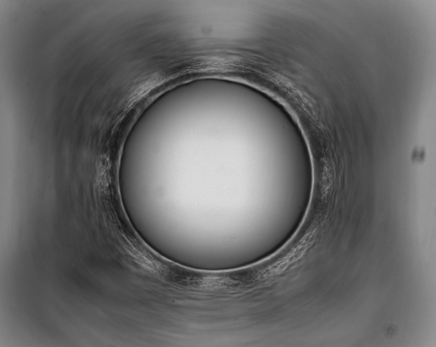 X0000101221449200806271436