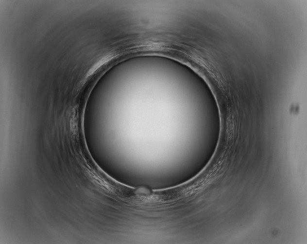 X0000101221450200806271436